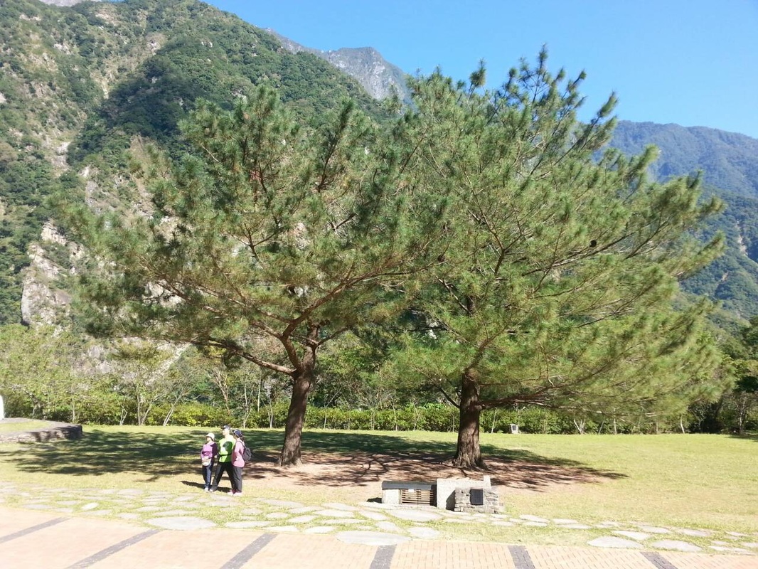 漫飛民宿